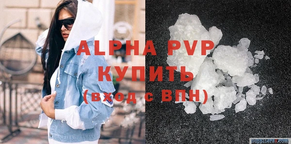 стафф Алзамай