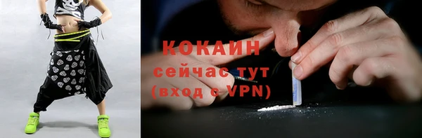стафф Алзамай