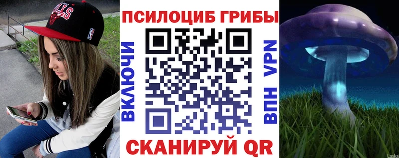 Псилоцибиновые грибы мицелий  Киреевск 